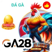 daga66 Game 08